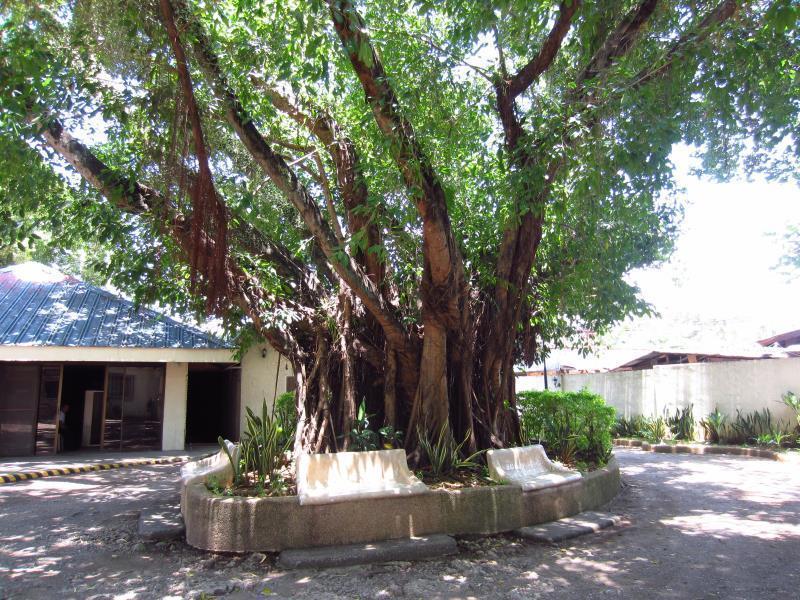 מקטאן Park Hill Hotel מראה חיצוני תמונה